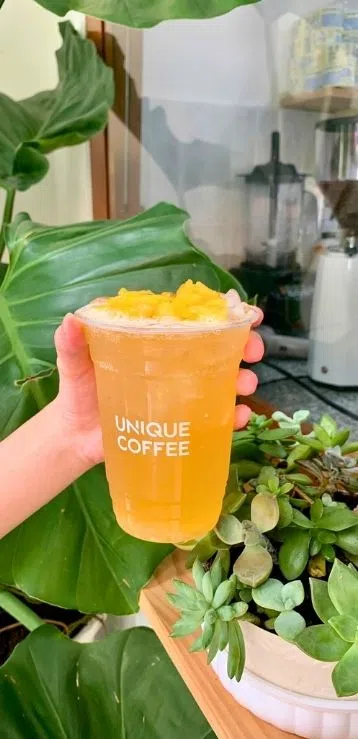 ảnh 1
