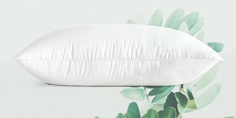 ảnh small 2
