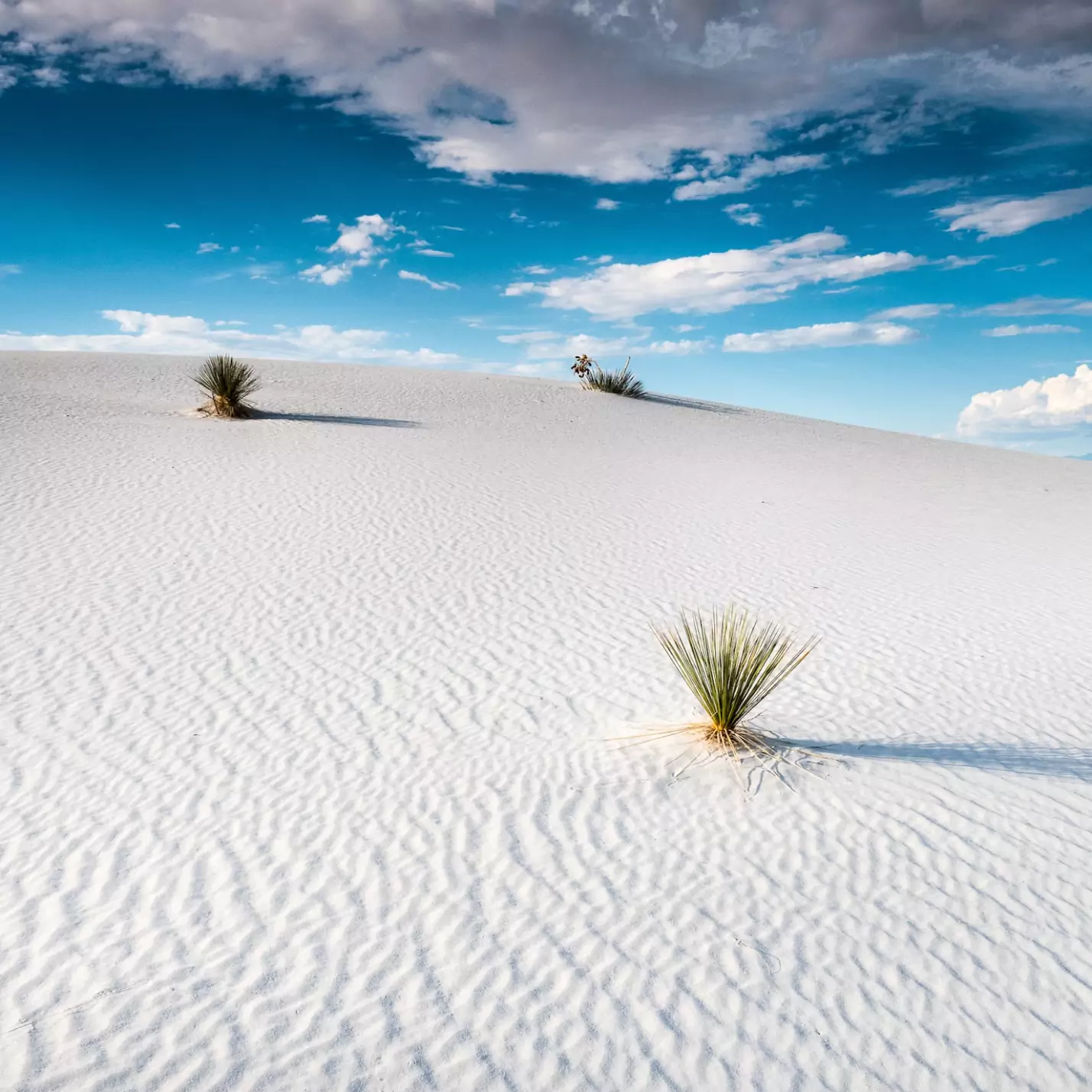 image_gallery 2