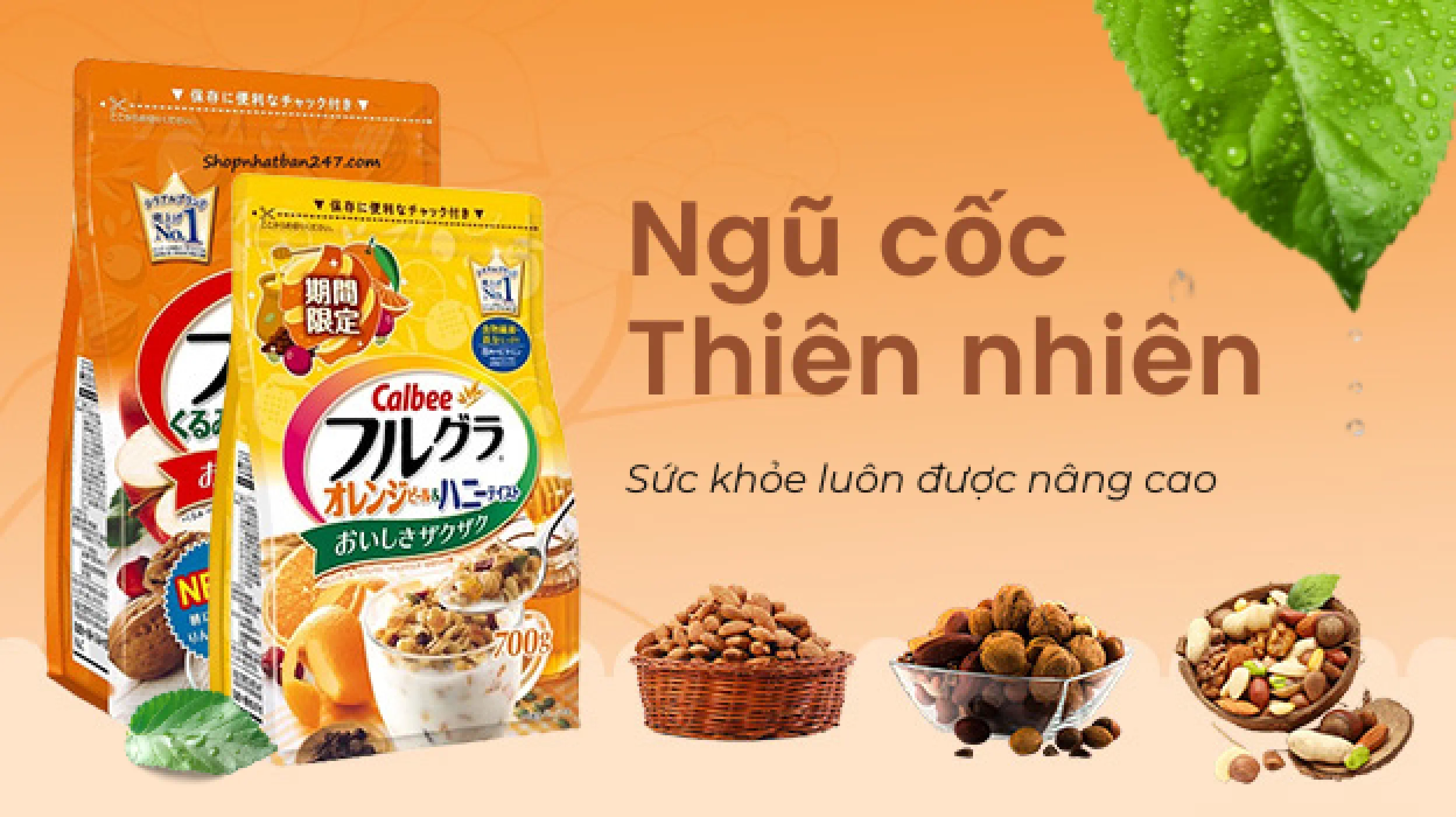 ảnh 1
